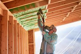 Eco-Friendly or Green Insulation Solutions in Zephyrhills South, FL