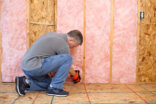 Types of Insulation We Offer in Zephyrhills South, FL